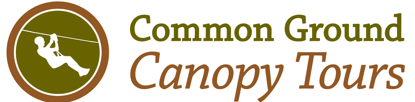 canopy logo flipped 2
