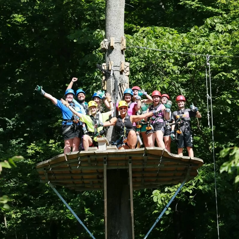 large group of young people on a tree about to start ziplining